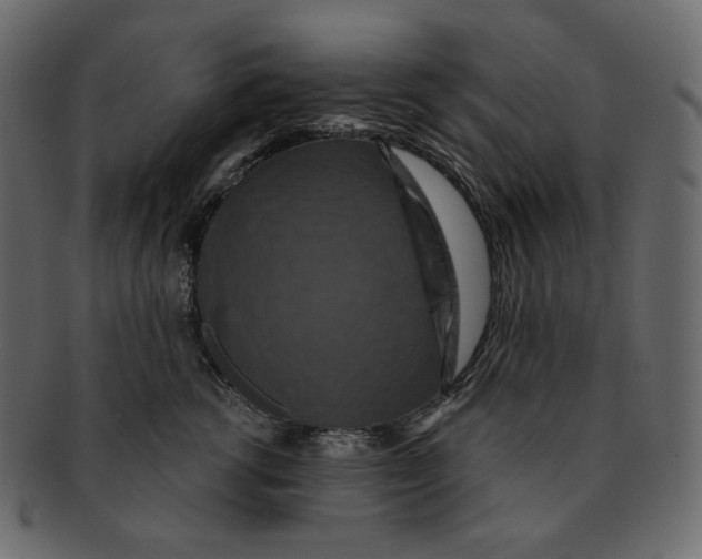 X0000091930762200710031059