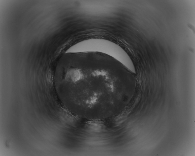 X0000091930763200710031059