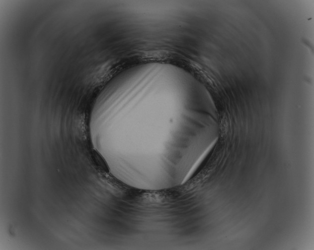 X0000091930764200710031059