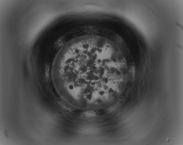 X0000091930765200710031059