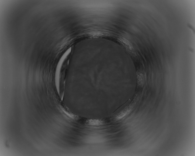 X0000091930766200710031059