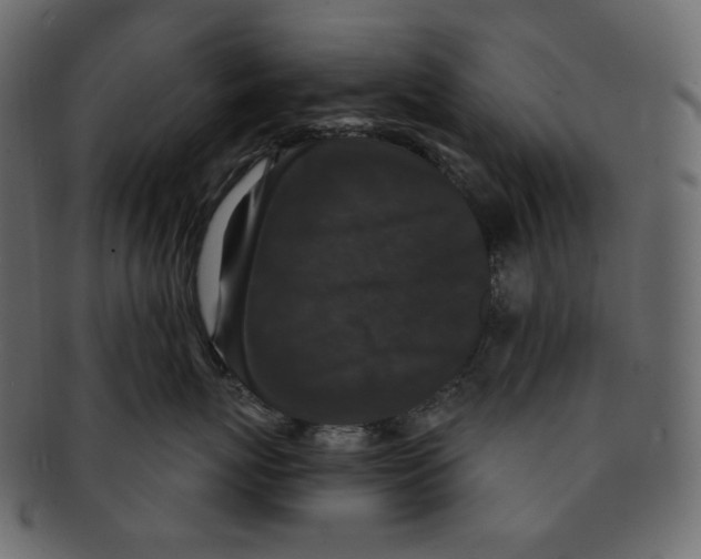 X0000091930767200710031059