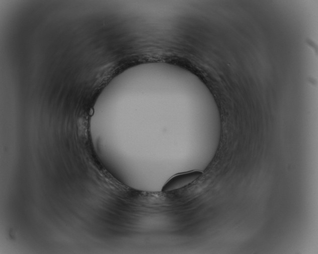 X0000091930768200710031059