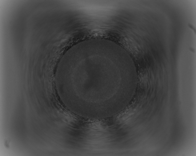 X0000091930769200710031058