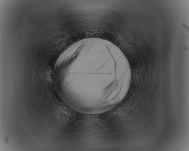 X0000091930770200710031058