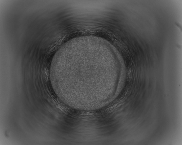 X0000091930772200710031058