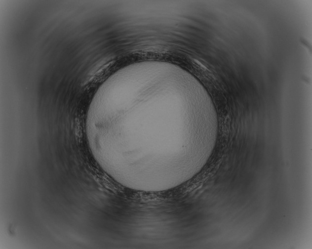 X0000091930774200710031058