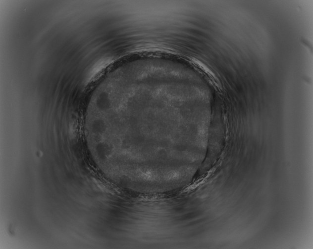 X0000091930775200710031058