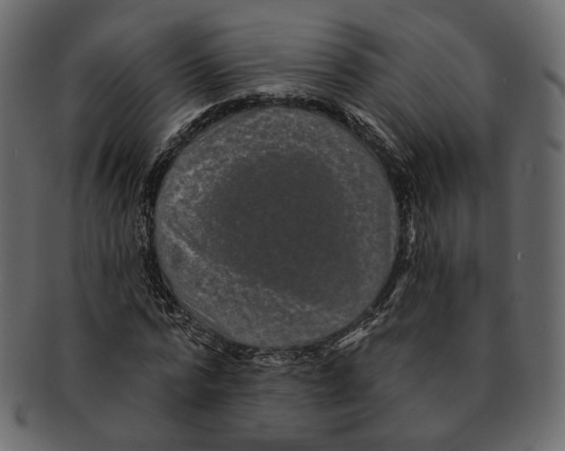 X0000091930776200710031058