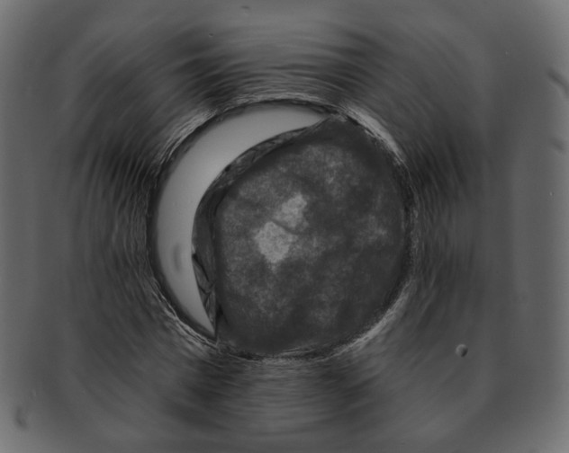 X0000091930777200710031058