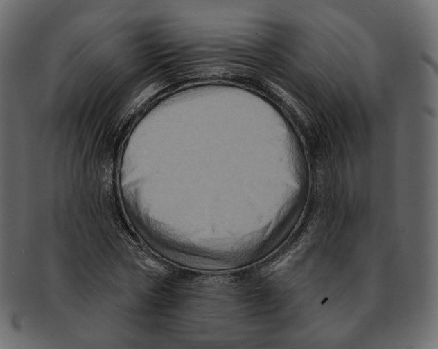 X0000091930778200710031058