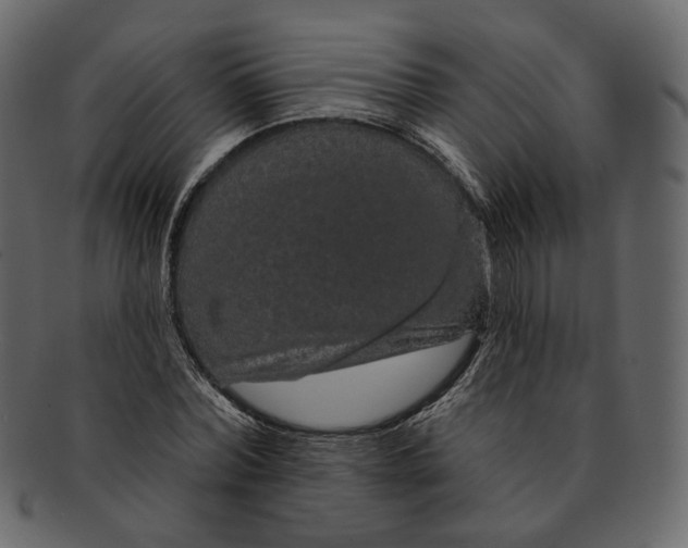 X0000091930780200710031058