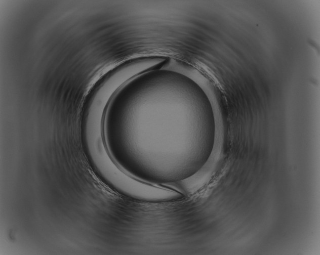 X0000091930781200710031058