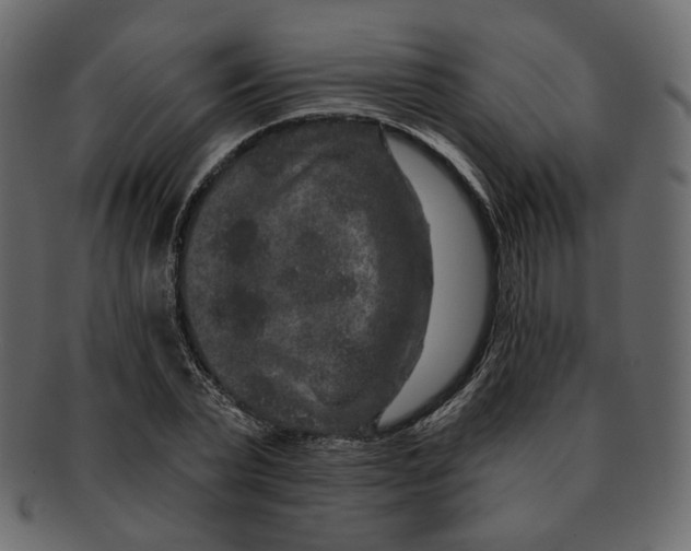 X0000091930783200710031058