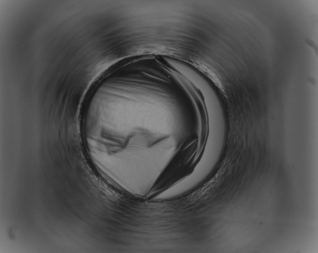 X0000091930784200710031058