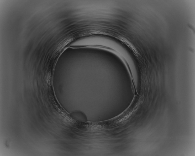 X0000091930785200710031058