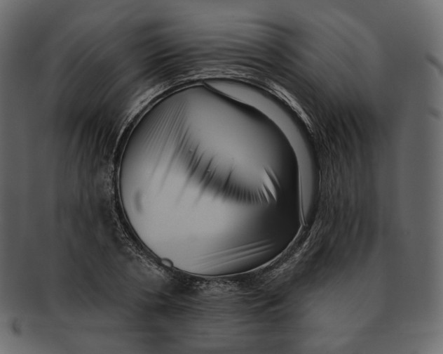 X0000091930786200710031058