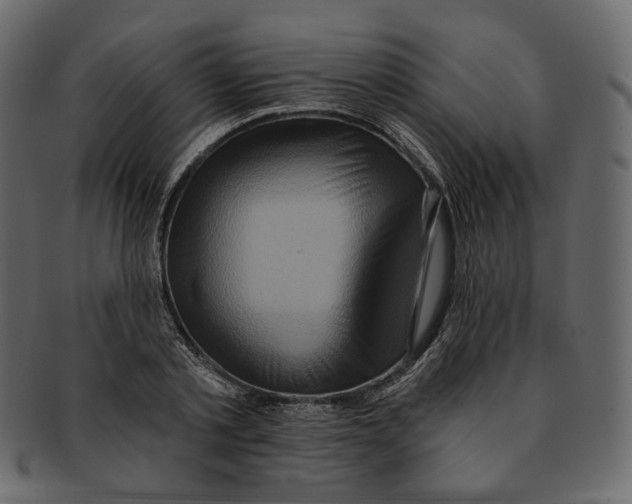 X0000091930789200710031058