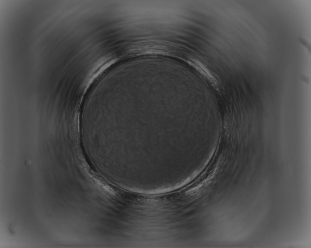 X0000091930790200710031058