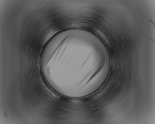 X0000091930794200710031058