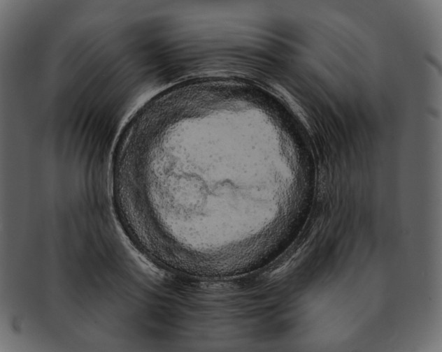 X0000091930795200710031058