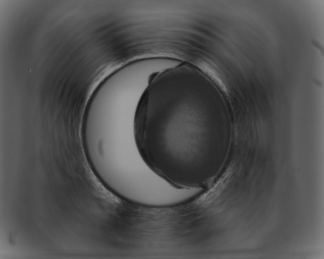 X0000091930797200710031058