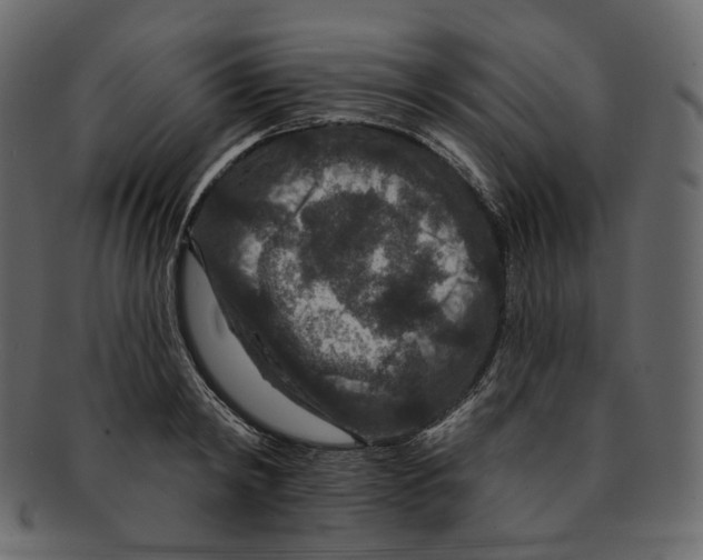 X0000091930798200710031058