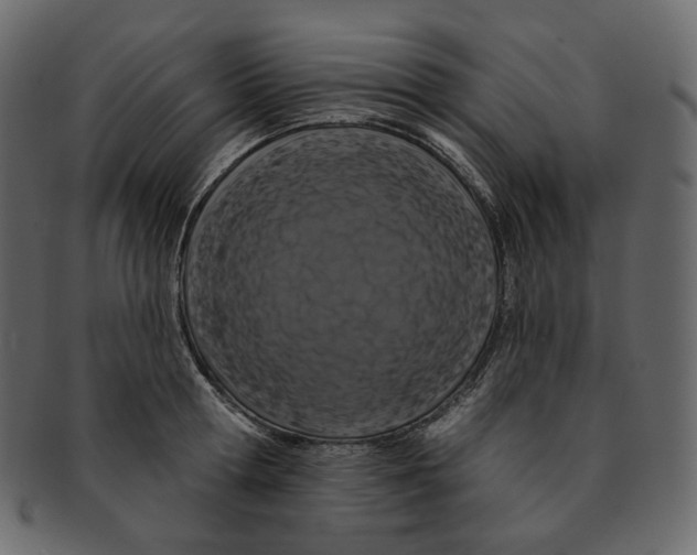 X0000091930802200710031058