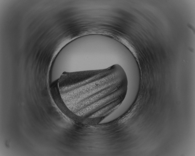 X0000091930803200710031058