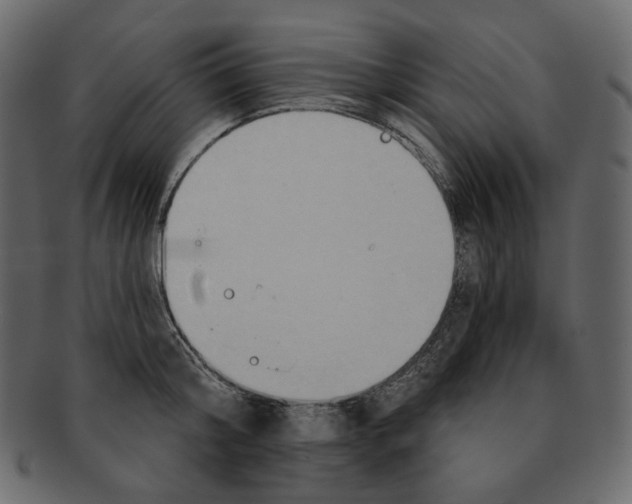 X0000091930804200710031058