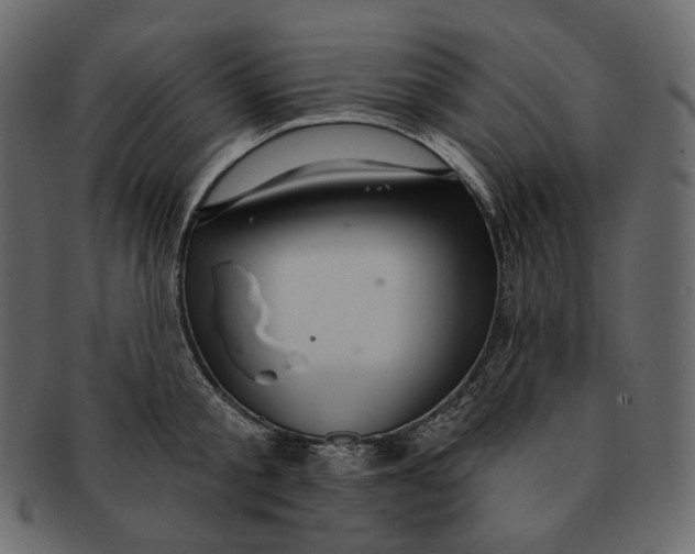 X0000091930805200710031058