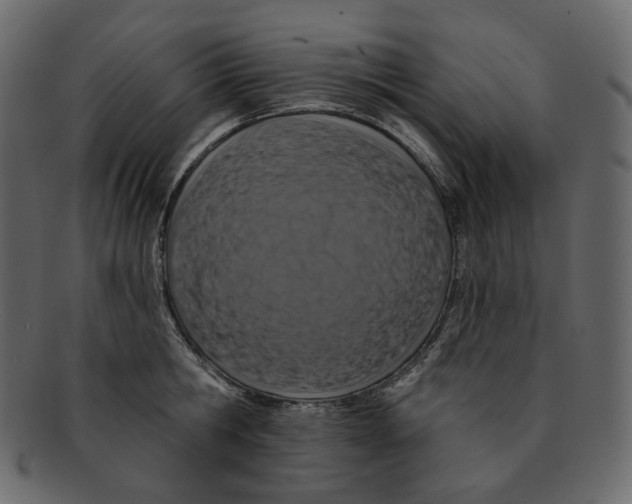 X0000091930806200710031058