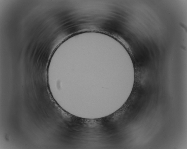 X0000091930807200710031058