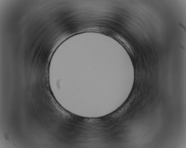 X0000091930808200710031058