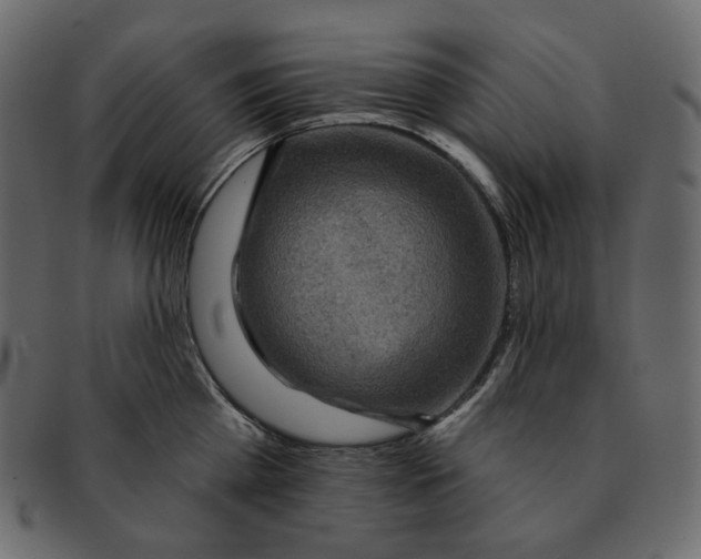 X0000091930809200710031058