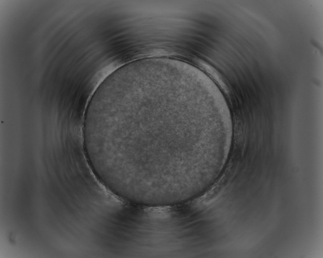 X0000091930810200710031058