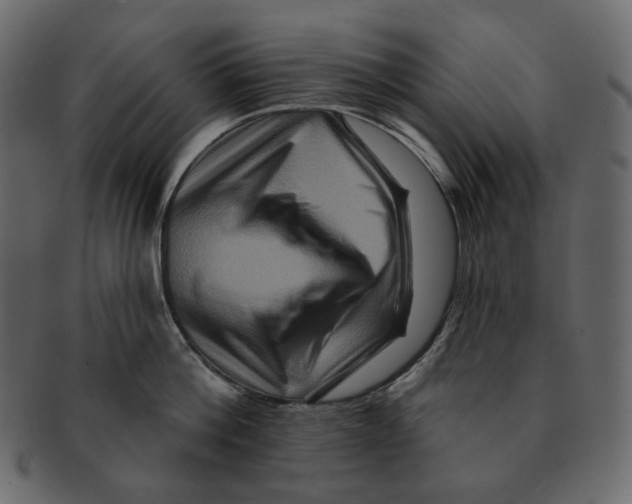 X0000091930812200710031058