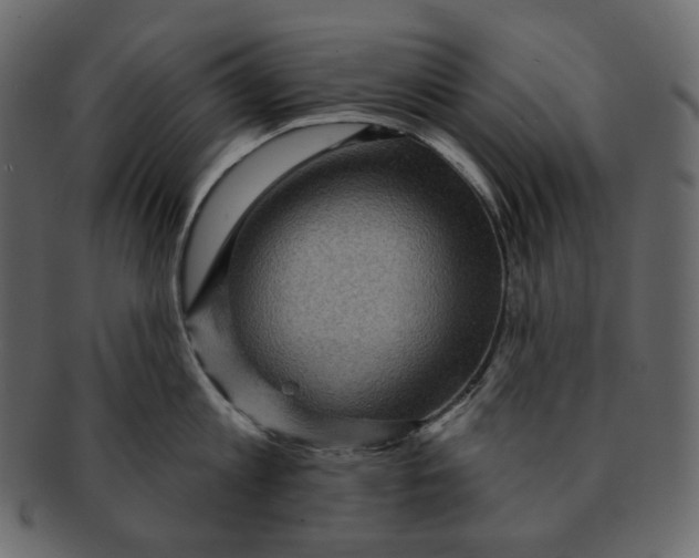 X0000091930813200710031058