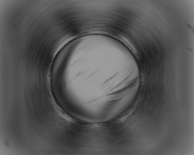 X0000091930814200710031058