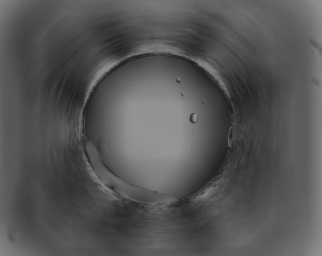 X0000091930815200710031058