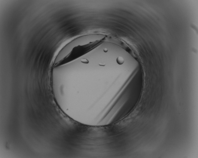 X0000091930816200710031058