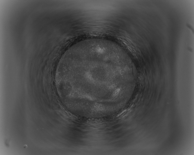 X0000091930817200710031057