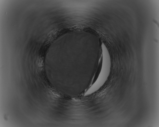 X0000091930818200710031057