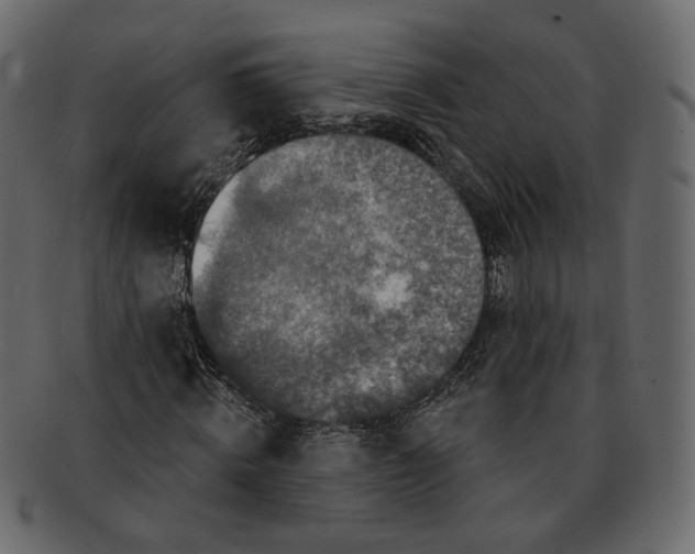 X0000091930820200710031057