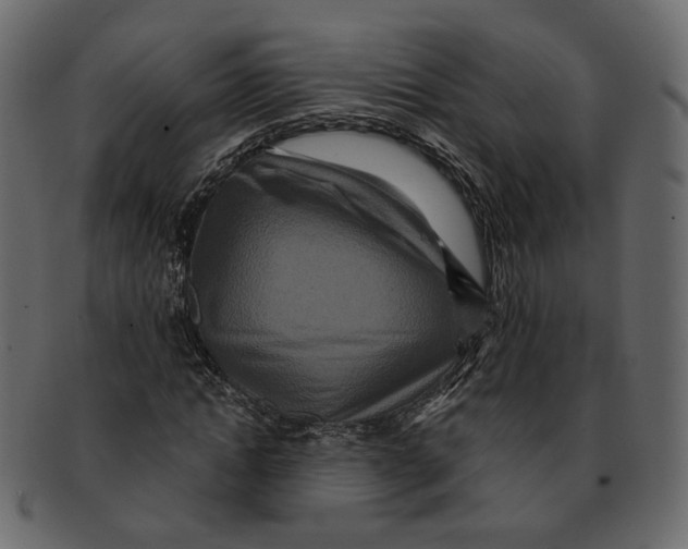 X0000091930822200710031057