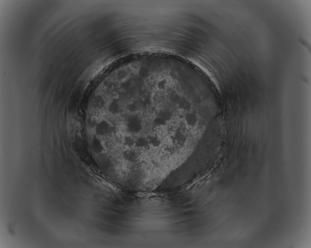 X0000091930823200710031057