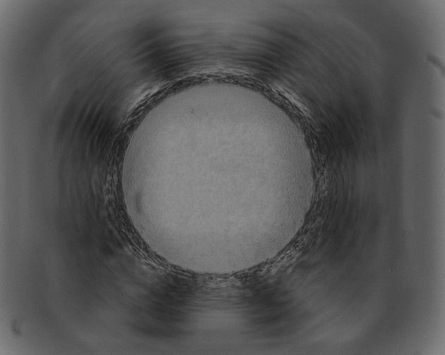 X0000091930824200710031057