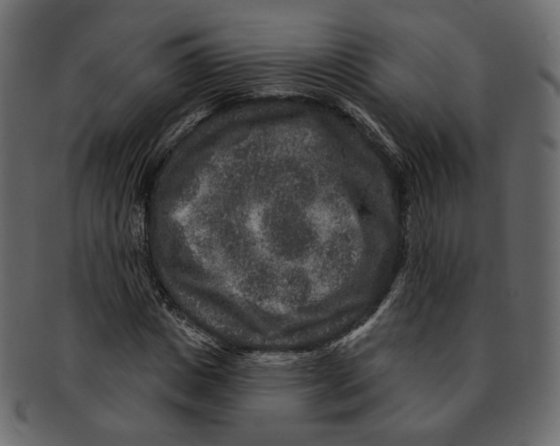 X0000091930825200710031057