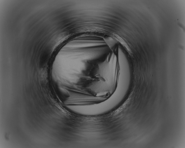 X0000091930826200710031057