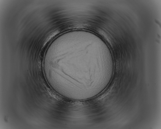 X0000091930827200710031057